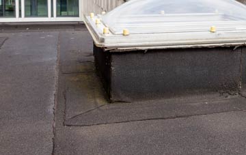 disadvantages of Pont Rhyd Y Cyff flat roofs