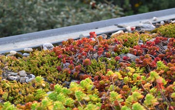 the cost of Pont Rhyd Y Cyff green roof installation