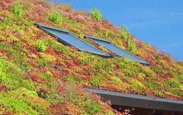 Pont Rhyd Y Cyff living roof systems