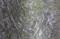 Pont Rhyd Y Cyff fibreglass roof work